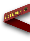 Blumenhaus Nagengast - Fleurop Service